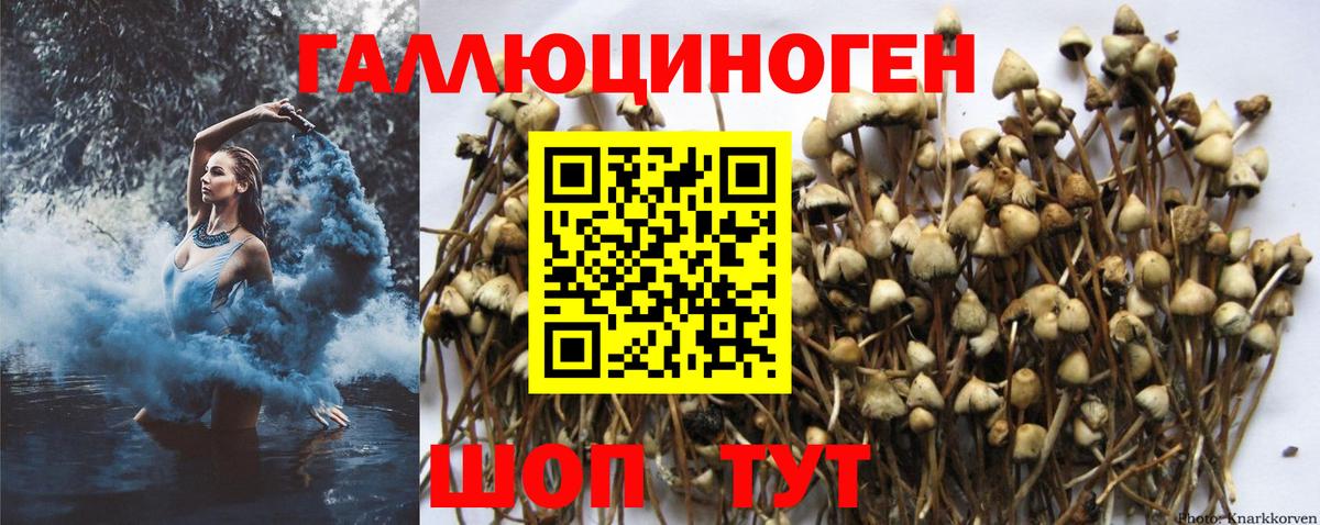 Псилоцибиновые грибы прущие грибы  Вход с VPN  Рязань 